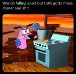 1000041731.jpg