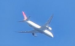 turkish air 787 on final at dtw.jpg