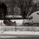 1759254434358.gif