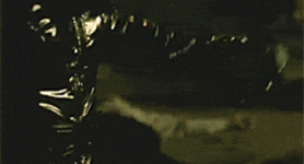 1759795885023.gif