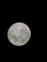 2025-11-06 Moon 01.JPEG