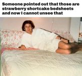 strawberry shortcake trump.jpg