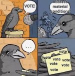 vote material conditions birds.jpg