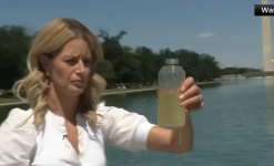 crystal clear reflecting pool.png