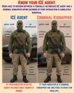 ice vs kidnapper.jpg