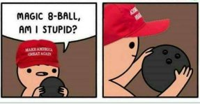 maga stupid.jpg