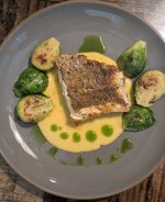 snapper orange cream.jpg snapper orange cream.jpg