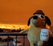 this is fine.jpg