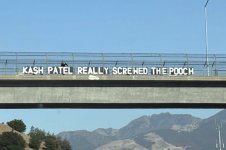 IMG_1336.jpeg